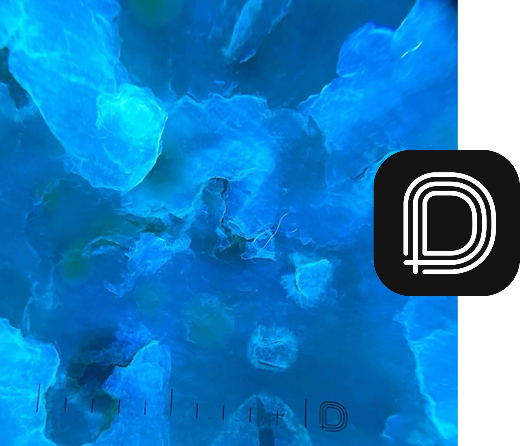 The DermLite App Workflow Platform